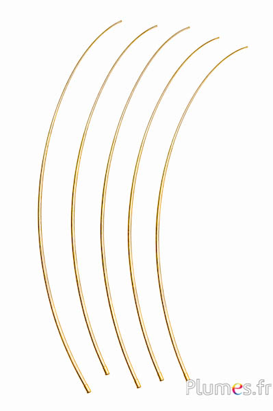 Struzzo Rachis - 50-60 cm - dorato